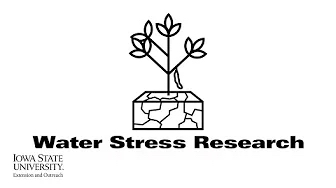 Soynomics: Water Stress Research