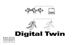 Soynomics: Digital Twin