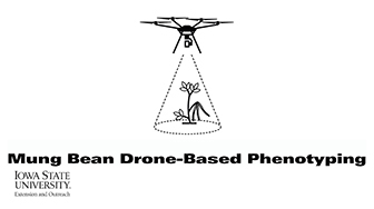 Soynomics: Mung Bean Drone-Based Phenotyping