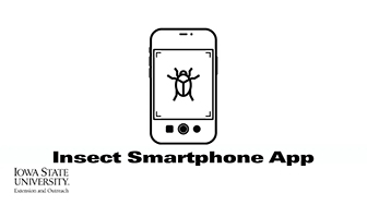 Soynomics: Insect Smartphone App