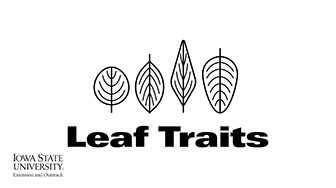 Soynomics: Leaf Traits